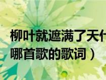 柳叶就遮满了天什么歌词（柳叶就遮满了天是哪首歌的歌词）