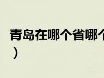 青岛在哪个省哪个市哪个地区（青岛在哪个省）