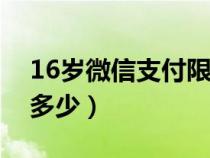 16岁微信支付限额是多少（微信支付限额是多少）