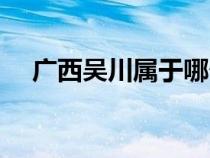 广西吴川属于哪个市（吴川属于哪个市）