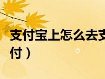 支付宝上怎么去支付的钱（支付宝上怎么去支付）