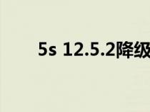 5s 12.5.2降级（5s降级10.3.3教程）