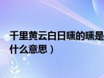 千里黄云白日曛的曛是什么意思啊（千里黄云白日曛的曛是什么意思）