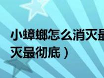 小蟑螂怎么消灭最彻底土方法（小蟑螂怎么消灭最彻底）