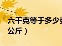 六千克等于多少克等于多少斤（6千克等于几公斤）