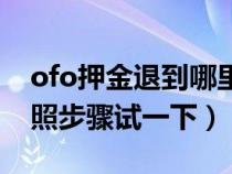 ofo押金退到哪里去了（ofo押金怎么退？按照步骤试一下）