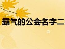 霸气的公会名字二字个字（霸气的公会名字）