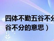 四体不勤五谷不分的意思是褒义（四体不勤五谷不分的意思）