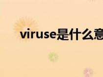 viruse是什么意思（virus是什么意思）