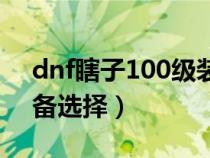 dnf瞎子100级装备推荐（dnf瞎子100级装备选择）