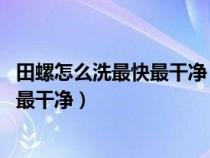 田螺怎么洗最快最干净 怎么洗田螺才干净（田螺怎么洗最快最干净）