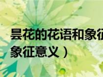 昙花的花语和象征意义是什么（昙花的花语和象征意义）