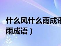 什么风什么雨成语大全四字成语（什么风什么雨成语）