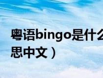 粤语bingo是什么意思中文（bingo是什么意思中文）