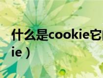 什么是cookie它的作用是什么（什么是cookie）