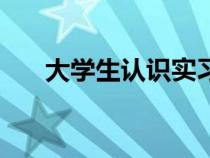 大学生认识实习报告（认识实习总结）