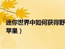 迷你世界中如何获得野果（迷你世界怎样才能获取更多的野苹果）