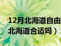 12月北海道自由行攻略百度经验（11月底去北海道合适吗）