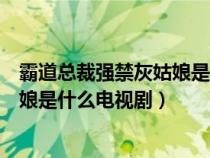 霸道总裁强禁灰姑娘是什么电视剧里的（霸道总裁强禁灰姑娘是什么电视剧）