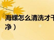 海螺怎么清洗才干净视频（海螺怎么清洗才干净）