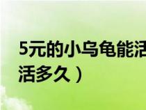 5元的小乌龟能活多久 视频（5元的小乌龟能活多久）