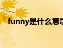 funny是什么意思（famous是什么意思）