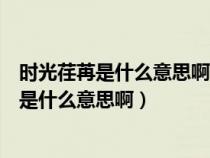 时光荏苒是什么意思啊形容时间过得很快的词语（时光荏苒是什么意思啊）