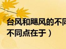 台风和飓风的不同点在于飓风（台风和飓风的不同点在于）