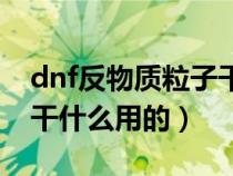 dnf反物质粒子干嘛用的（dnf反物质粒子是干什么用的）