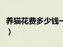 养猫花费多少钱一个月（养猫会带来什么运气）