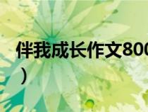 伴我成长作文800字初中作文（伴我成长作文）