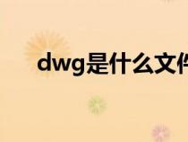 dwg是什么文件啊（dwg是什么文件）