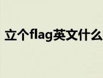 立个flag英文什么意思（立个flag是啥意思）