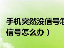 手机突然没信号怎么办怎么回事（手机突然没信号怎么办）