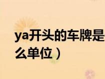 ya开头的车牌是什么车（ya开头的车牌是什么单位）