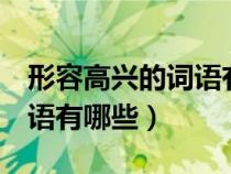 形容高兴的词语有哪些2个字（形容高兴的词语有哪些）