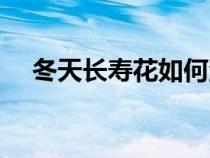 冬天长寿花如何浇水（长寿花如何浇水）