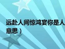 远赴人间惊鸿宴你是人间四月天什么意思（人间四月天什么意思）