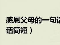 感恩父母的一句话简短一点（感恩父母的一句话简短）