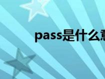 pass是什么意思（ss是什么意思）