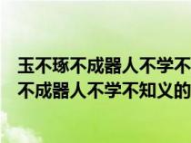 玉不琢不成器人不学不知义的意思是用短句话来说（玉不琢不成器人不学不知义的意思）