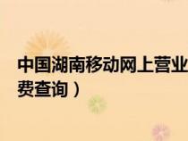 中国湖南移动网上营业厅详单查询（湖南移动网上营业厅话费查询）