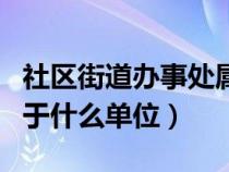 社区街道办事处属于什么单位（街道办事处属于什么单位）