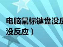 电脑鼠标键盘没反应开不了机（电脑鼠标键盘没反应）