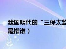 我国明代的“三保太监”指的是哪位历史人物?（三保太监是指谁）