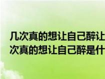 几次真的想让自己醉让自己远离那些恩怨是非是什么歌（几次真的想让自己醉是什么歌）