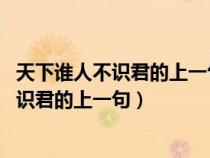 天下谁人不识君的上一句 莫愁前路无知己作者（天下谁人不识君的上一句）