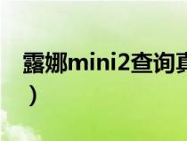 露娜mini2查询真伪（露娜mini2怎么查真伪）