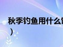 秋季钓鱼用什么饵料?（秋季钓鱼用什么饵料）