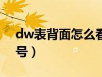 dw表背面怎么看尺寸（dw表背面怎么看型号）